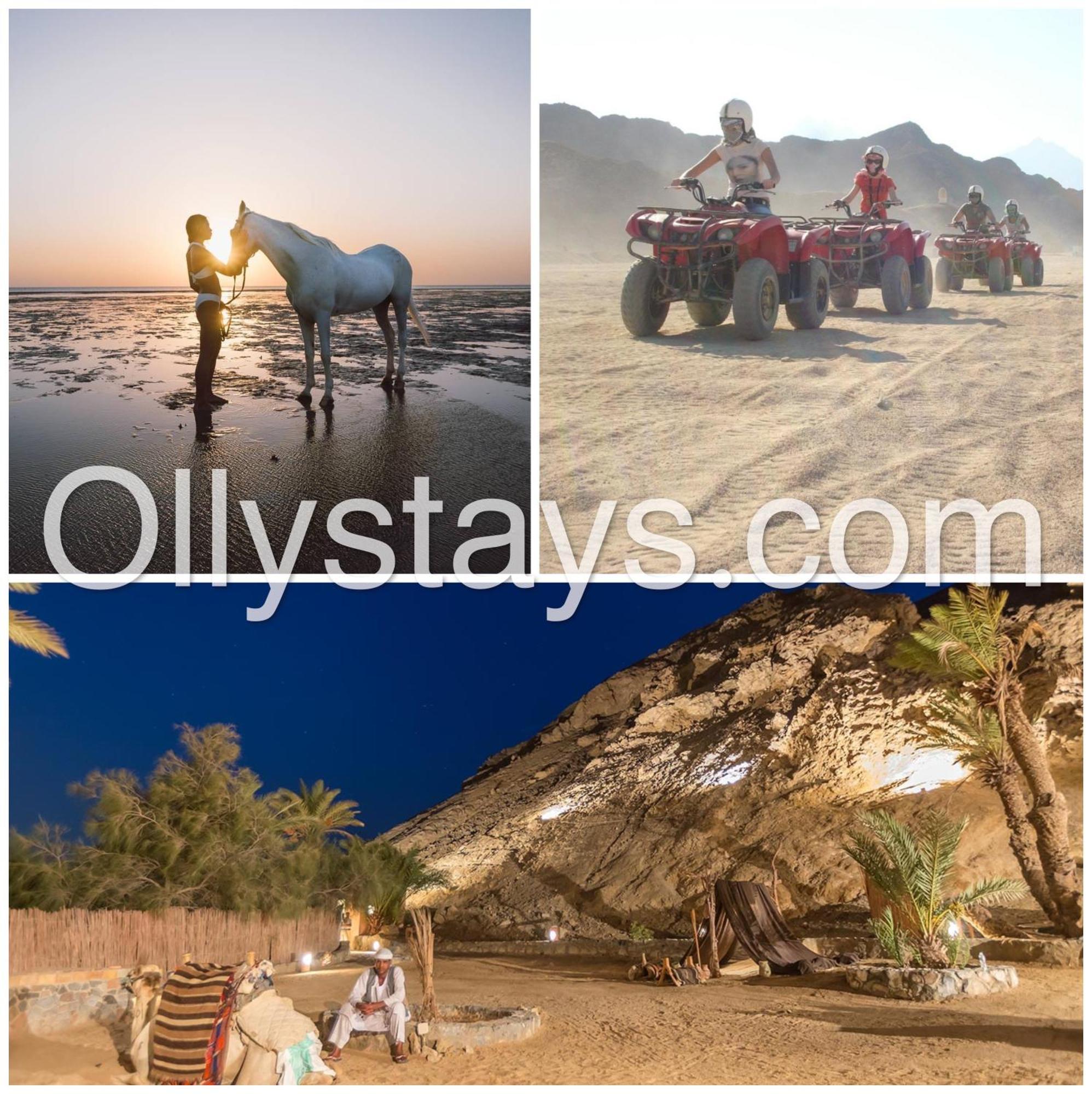 Ollystays Mangroovy Seaview 1Br Beach And Pool Free Access Hurghada Zewnętrze zdjęcie